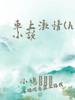 车上激情(h)小说