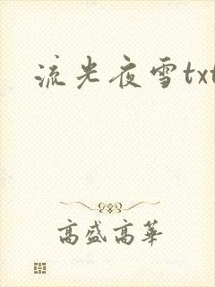 流光夜雪txt