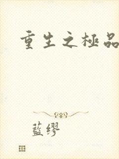 重生之极品大鳄