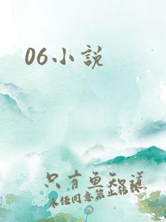 06小说