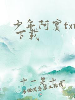 少年阿宾txt 下载