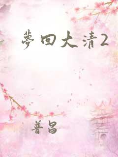 梦回大清2