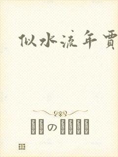 似水流年贾二虎