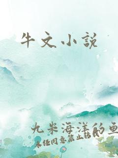 牛文小说