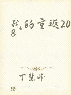 我的重返2008