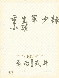 重生军少辣娇妻小说