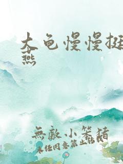 大龟慢慢挺进张燕