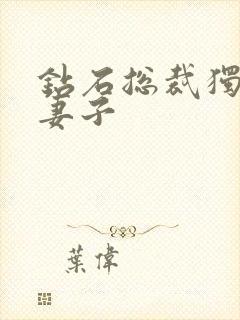 钻石总裁独宠小妻子