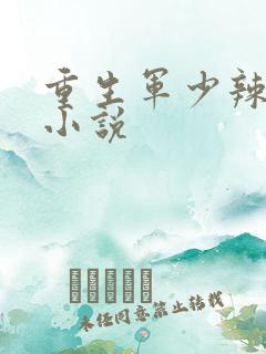 重生军少辣娇妻小说