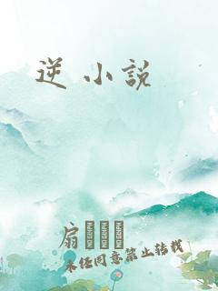 逆 小说