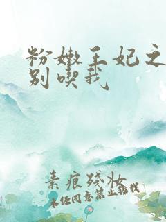 粉嫩王妃之殿下别吃我