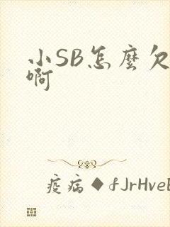 小SB怎么欠C啊