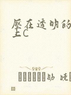 压在透明的玻璃上C