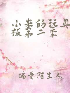 小米的玩具店老板第二季