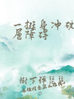 一挺身冲破了那层障碍