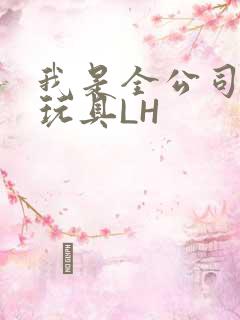 我是全公司发泄玩具LH