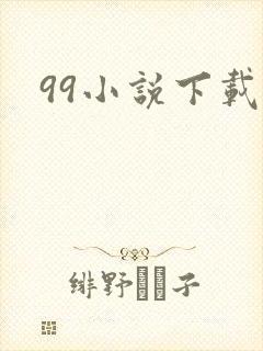 99小说下载网