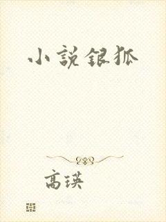 小说银狐