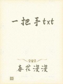 一把手txt