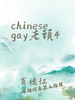 chinesegay老头4