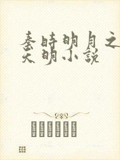 秦时明月之夜尽天明小说