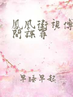 凤凰卫视傅晓甜间谍罪