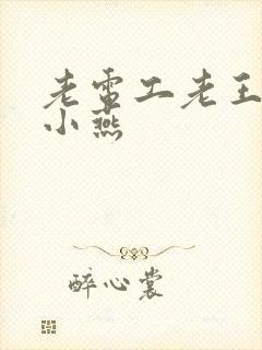 老电工老王和李小燕