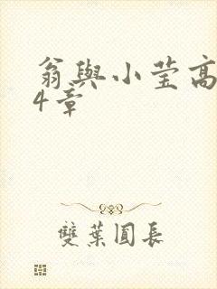 翁与小莹高潮24章