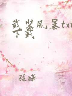 武装风暴txt下载
