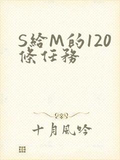 S给M的120条任务