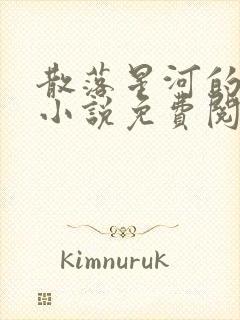 散落星河的记忆小说免费阅读全文