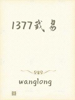 1377武易