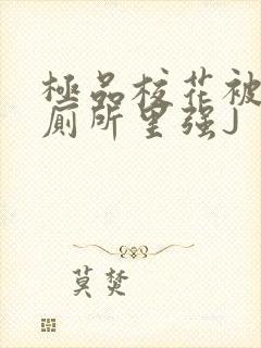 极品校花被拉到厕所里强J