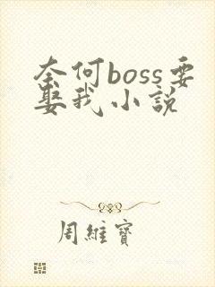 奈何boss要娶我小说