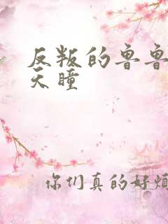 反叛的鲁鲁修之天瞳