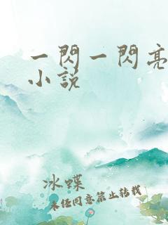 一闪一闪亮晶晶小说