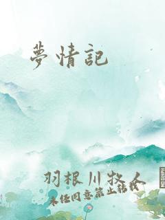 梦情记