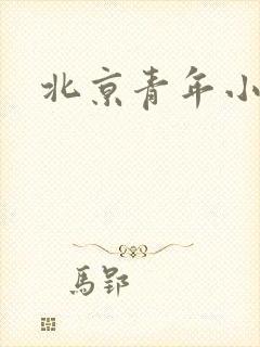 北京青年小说