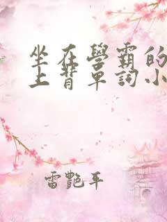 坐在学霸的棍子上背单词小说