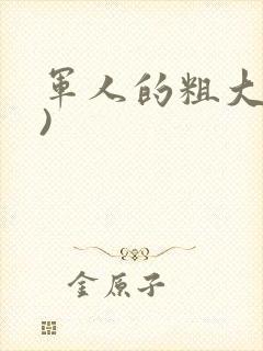 军人的粗大(h)
