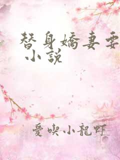 替身娇妻要离婚 小说