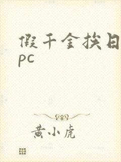 假千金挨日记npc