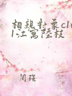 相亲对象c1v1江寓陆枝