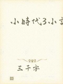 小时代3小说