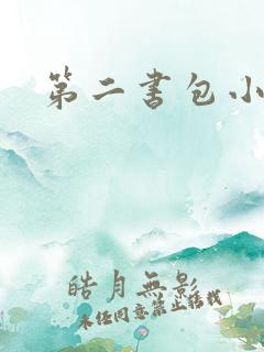 第二书包小说网
