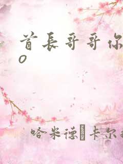 首长哥哥你好po