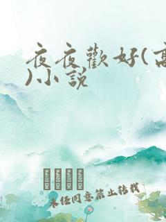 夜夜欢好(高h)小说