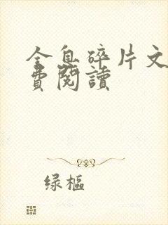 全息碎片文轩免费阅读