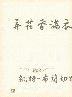 弄花香满衣下载