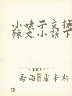 小婕子交换系列辣文小说下载